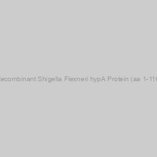 Image of Recombinant Shigella Flexneri hypA Protein (aa 1-116)